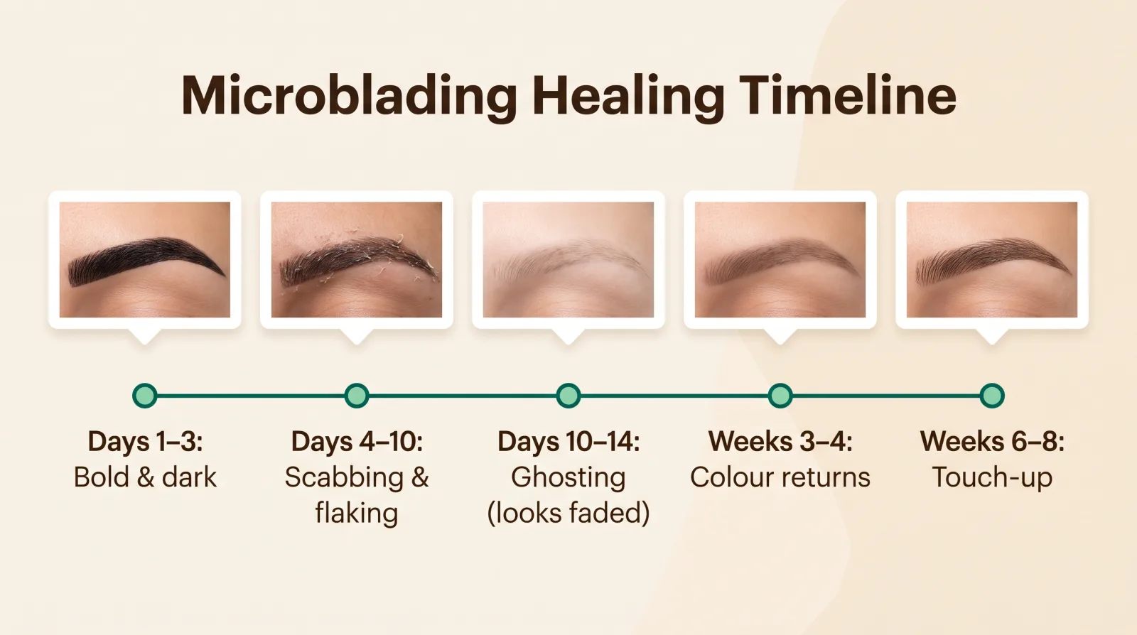 Infographic of the microblading healing timeline from day 1 to the touch-up at weeks 6 to 8